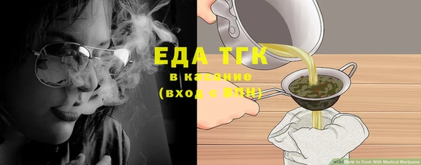 индика Иннополис