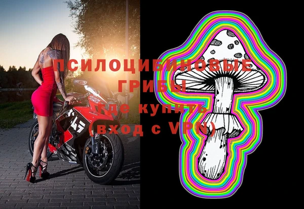 соль курить ск Инсар