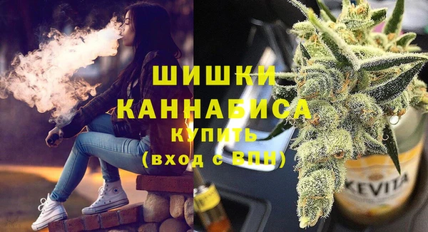индика Иннополис