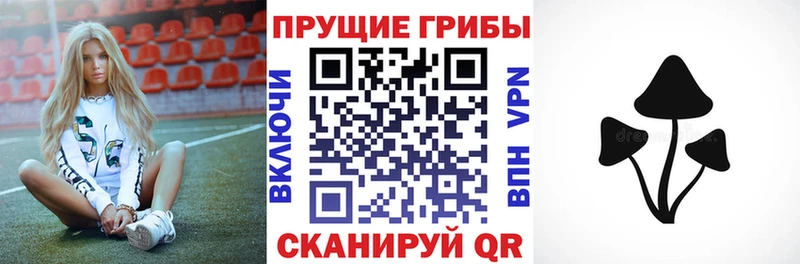 Галлюциногенные грибы мицелий  Купить закладки  Ишимбай 