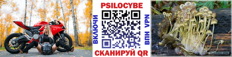 Псилоцибиновые грибы мицелий Ишимбай